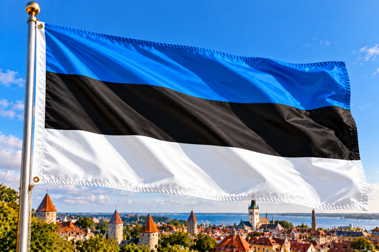 Estland Fahne / Flagge 90x150 cm