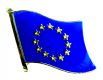 Europische Union Pin