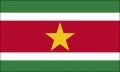 Surinam Fahne / Flagge 90x150 cm